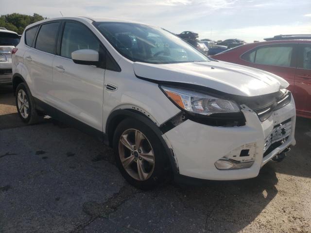 FORD ESCAPE SE 2013 with VIN 1FMCU0GX2DUC80437 - Photo from auction
