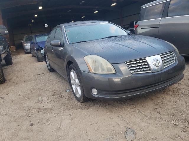 NISSAN MAXIMA SE 2006 with VIN 1N4BA41E66C834407 - Photo from auction