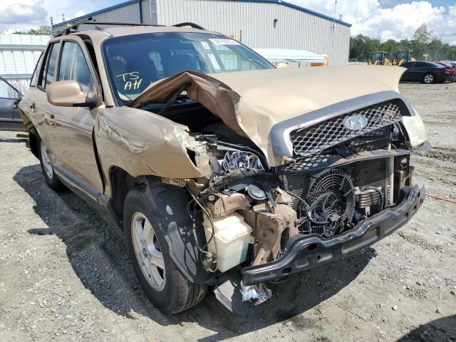 HYUNDAI SANTA FE G 2004 with VIN KM8SC13D74U767553 - Photo from auction