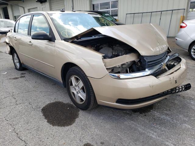 CHEVROLET MALIBU LS 2004 with VIN 1G1ZT54874F156429 - Photo from auction