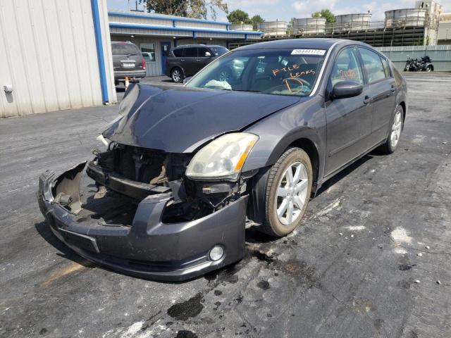 Photo 2 from auction – 2005 NISSAN MAXIMA SE with VIN 1N4BA41E45C877979