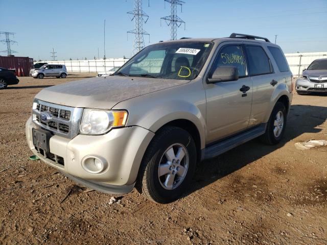 Photo 2 from auction – 2010 FORD ESCAPE XLT with VIN 1FMCU0DG8AKA01648