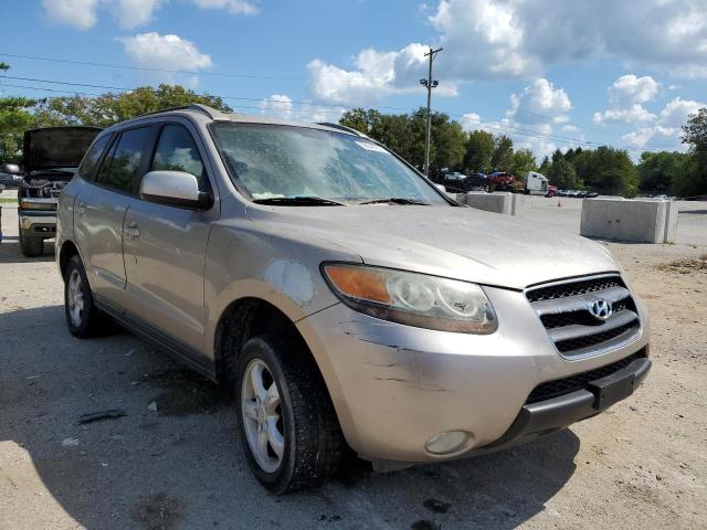 HYUNDAI SANTA FE G 2007 with VIN 5NMSG13D07H058869 - Photo from auction