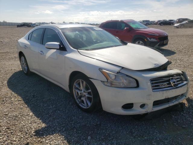 NISSAN MAXIMA S 2009 with VIN 1N4AA51E89C837511 - Photo from auction