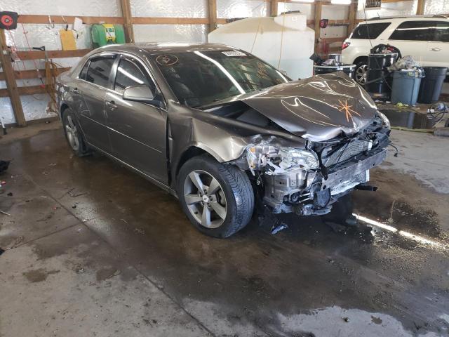 Photo 1 from auction – 2011 CHEVROLET MALIBU 1LT with VIN 1G1ZC5EU4BF395087