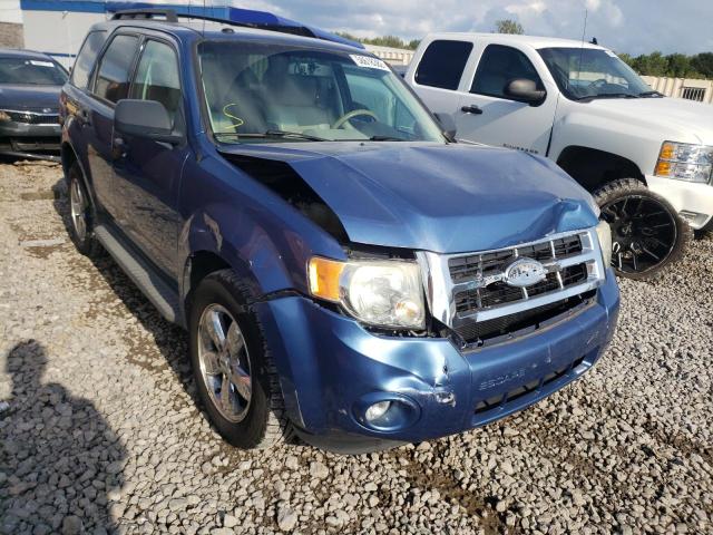 FORD ESCAPE XLT 2009 with VIN 1FMCU03G79KA59425 - Photo from auction