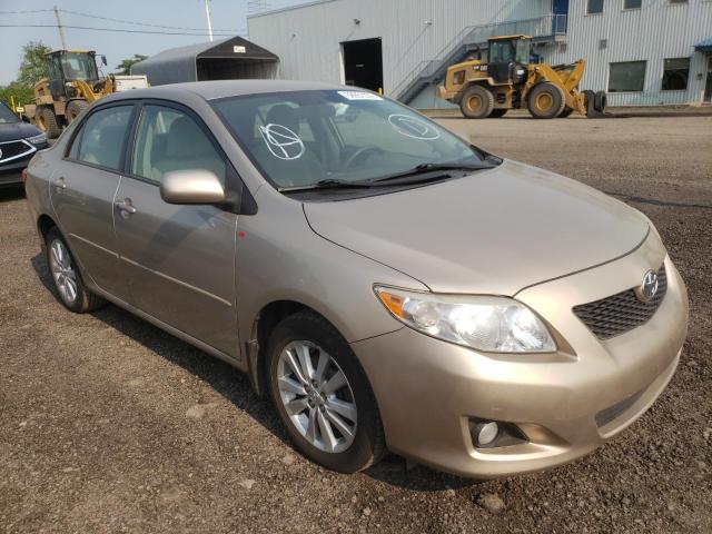 TOYOTA COROLLA BA 2010 with VIN 2T1BU4EE9AC233942 - Photo from auction