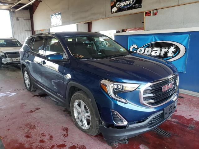 GMC TERRAIN SL 2019 with VIN 3GKALMEV0KL296249 - Photo from auction
