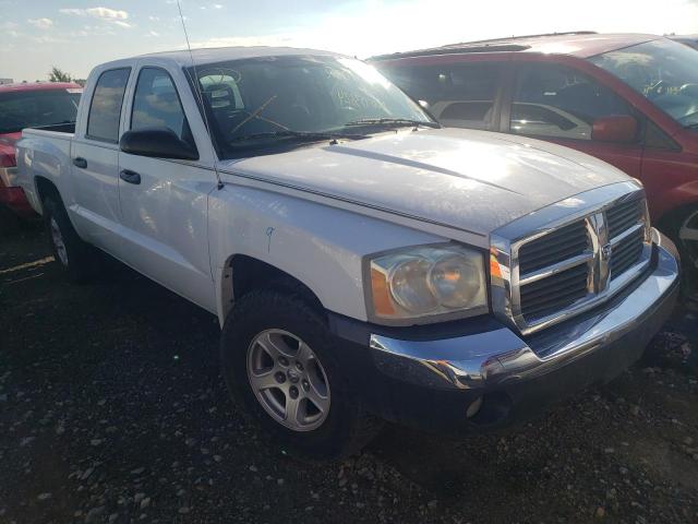 DODGE DAKOTA QUA 2005 with VIN 1D7HE48N95S217995 - Photo from auction