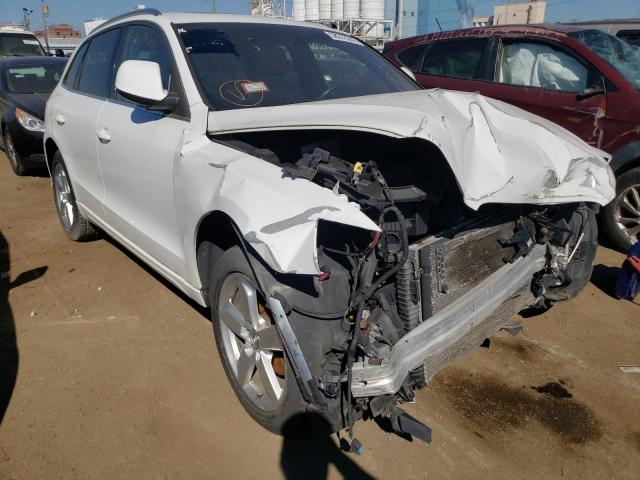AUDI Q5 PREMIUM 2010 with VIN WA1LKAFP2AA042726 - Photo from auction