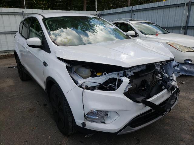 FORD ESCAPE SE 2019 with VIN 1FMCU0GDXKUC36768 - Photo from auction