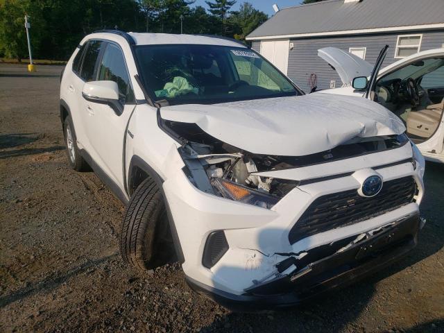 TOYOTA RAV4 LE 2019 with VIN JTMMWRFV6KD505074 - Photo from auction
