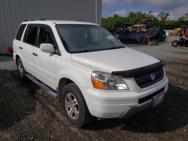 HONDA PILOT EX 2005 with VIN 5FNYF18495B022991 - Photo from auction