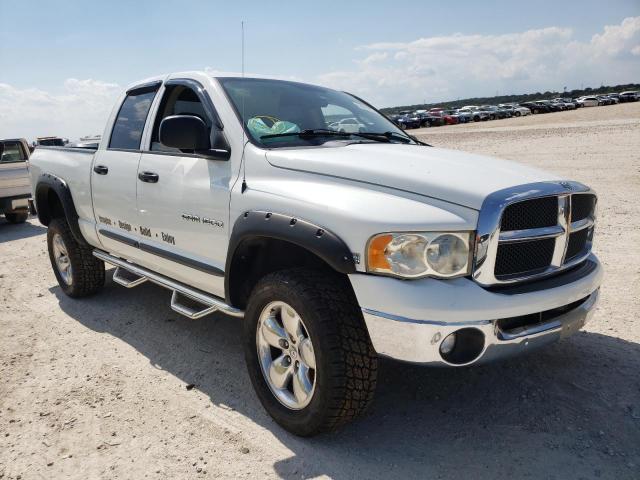 DODGE RAM 1500 S 2003 with VIN 1D7HA18D53J608078 - Photo from auction