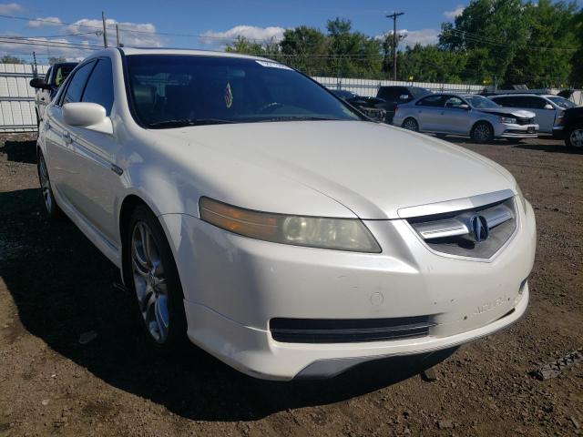 ACURA TL 2005 with VIN 19UUA66265A074391 - Photo from auction