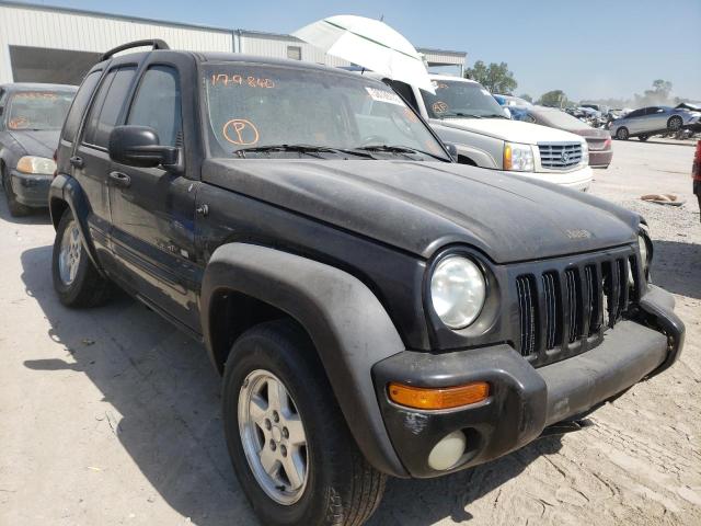 Photo 1 from auction – 2002 JEEP LIBERTY LI with VIN 1J4GL58K02W179840
