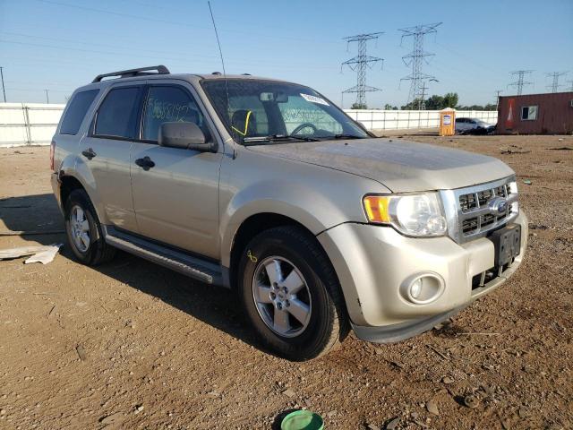 Photo 1 from auction – 2010 FORD ESCAPE XLT with VIN 1FMCU0DG8AKA01648