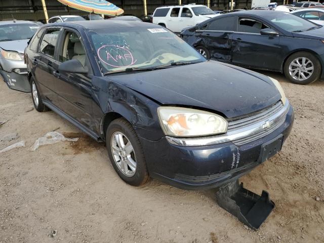 CHEVROLET MALIBU MAX 2005 with VIN 1G1ZT64885F296626 - Photo from auction