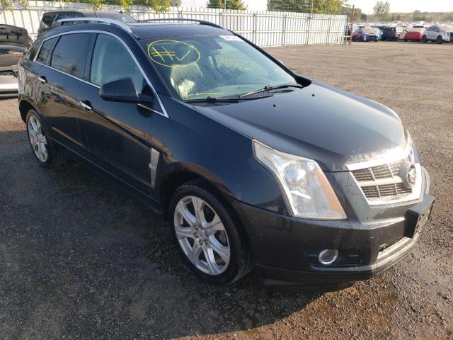 CADILLAC SRX PERFOR 2011 with VIN 3GYFNEE6XBS559907 - Photo from auction