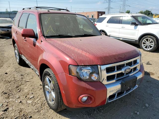 FORD ESCAPE LIM 2010 with VIN 1FMCU0EGXAKA00807 - Photo from auction