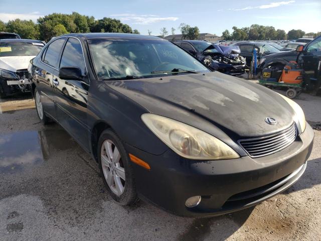 LEXUS ES 330 2005 with VIN JTHBA30G155135601 - Photo from auction