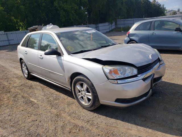 CHEVROLET MALIBU MAX 2005 with VIN 1G1ZT62875F141147 - Photo from auction