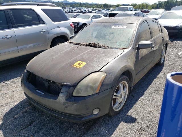 Photo 2 from auction – 2005 NISSAN MAXIMA SE with VIN 1N4BA41E85C804047