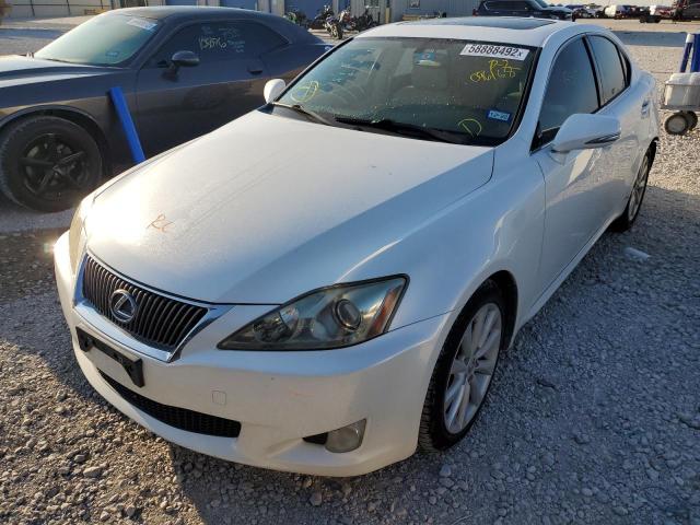 Photo 2 from auction – 2009 LEXUS IS 250 with VIN JTHBK262295096168