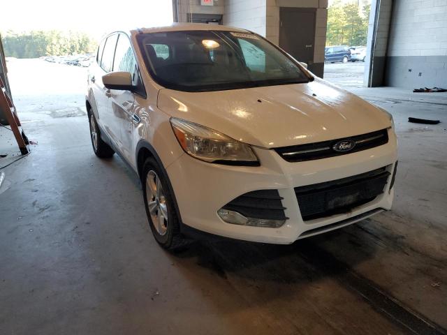 FORD ESCAPE SE 2016 with VIN 1FMCU0GXXGUB53682 - Photo from auction