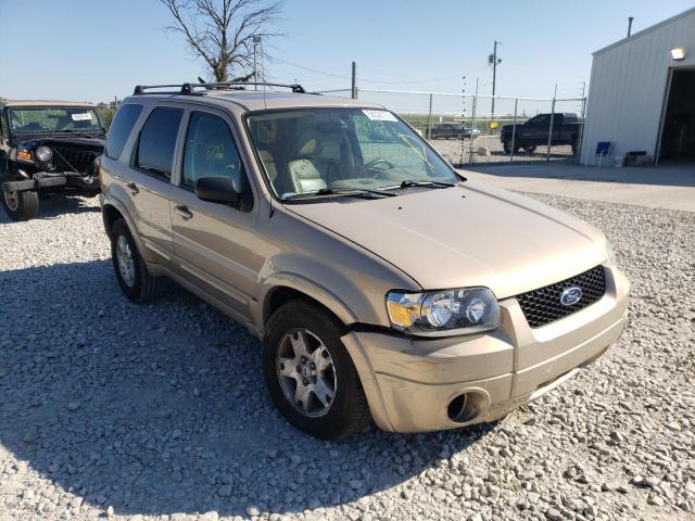 FORD ESCAPE 2007 with VIN 1FMYU04167KA50616 - Photo from auction