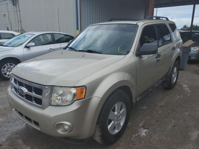 Photo 2 from auction – 2010 FORD ESCAPE XLT with VIN 1FMCU0DG5AKA86965