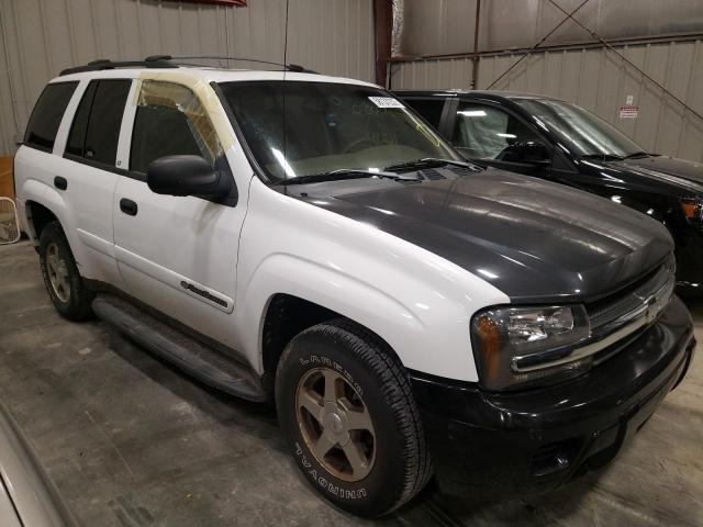 Photo 9 from auction – 2003 CHEVROLET TRAILBLAZE with VIN 1GNDT13S332193501