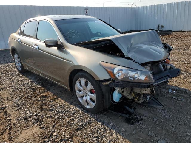 HONDA ACCORD EXL 2010 with VIN 1HGCP2F8XAA079983 - Photo from auction
