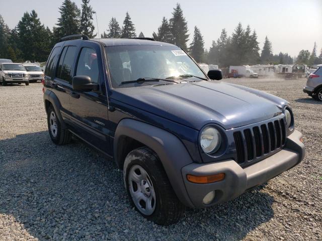 JEEP LIBERTY SP 2004 with VIN 1J4GL48K64W160478 - Photo from auction