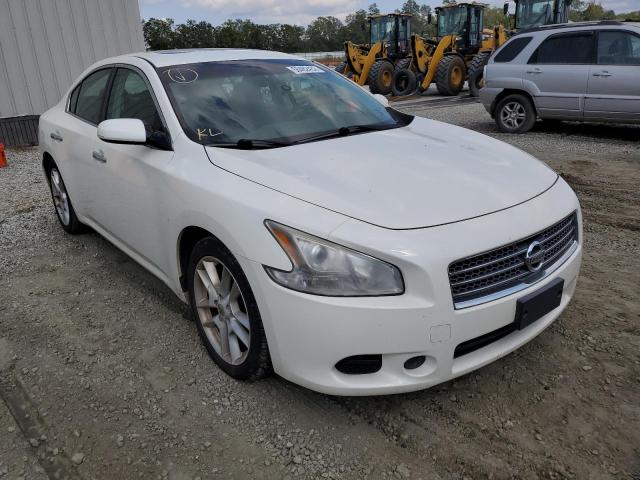 NISSAN MAXIMA S 2009 with VIN 1N4AA51EX9C841298 - Photo from auction
