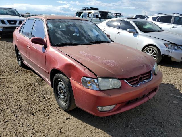 TOYOTA COROLLA CE 2001 with VIN 1NXBR12E11Z539133 - Photo from auction