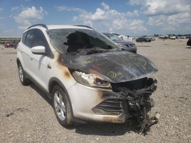 FORD ESCAPE SE 2014 with VIN 1FMCU0G90EUB47565 - Photo from auction