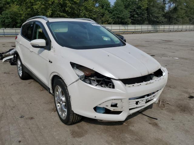 FORD ESCAPE TIT 2014 with VIN 1FMCU9J98EUB95411 - Photo from auction