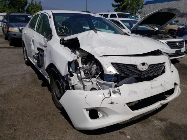 TOYOTA COROLLA BA 2010 with VIN 1NXBU4EEXAZ331330 - Photo from auction