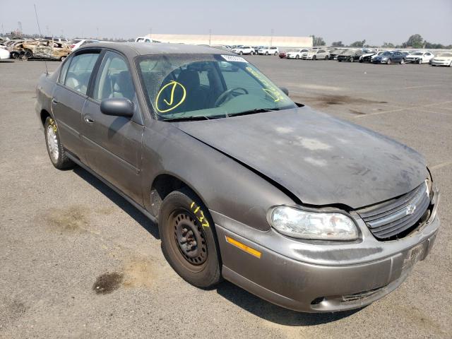 CHEVROLET MALIBU 2001 with VIN 1G1ND52J21M595045 - Photo from auction