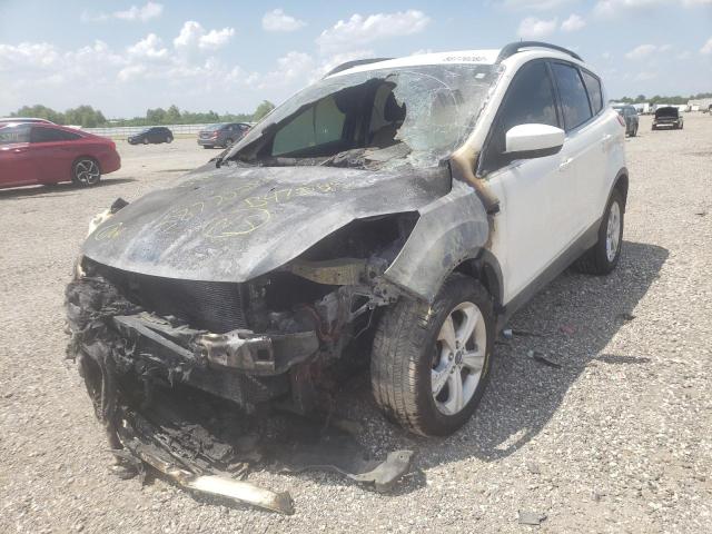 Photo 2 from auction – 2014 FORD ESCAPE SE with VIN 1FMCU0G90EUB47565