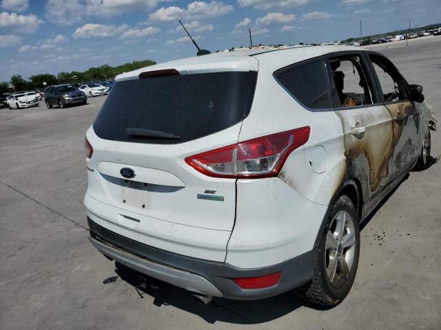 Photo 4 from auction – 2014 FORD ESCAPE SE with VIN 1FMCU0GX6EUC92706