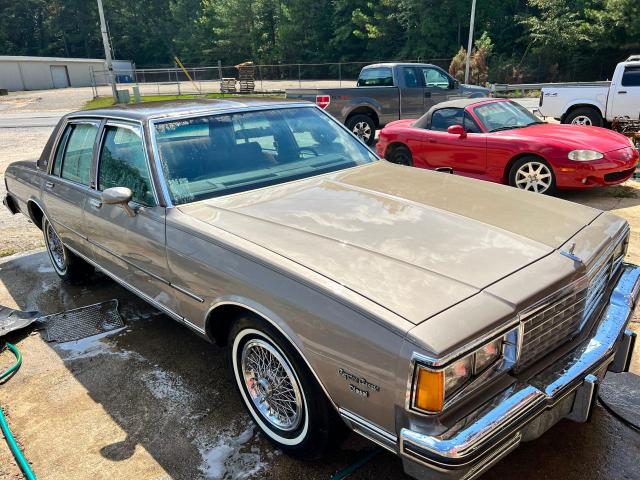 CHEVROLET CAPRICE CL 1983 with VIN 2G1AN69N6D1204831 - Photo from auction