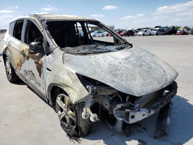 Photo 1 from auction – 2014 FORD ESCAPE SE with VIN 1FMCU0GX6EUC92706