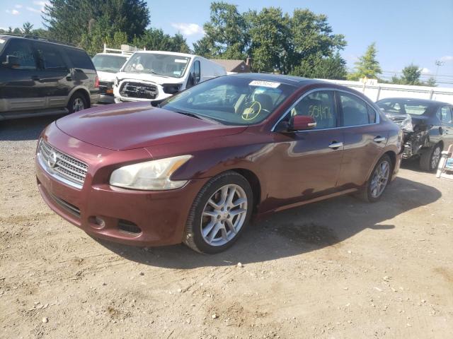 Photo 2 from auction – 2010 NISSAN MAXIMA S with VIN 1N4AA5AP3AC805636