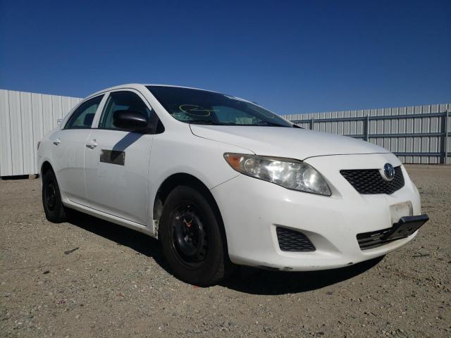 TOYOTA COROLLA BA 2010 with VIN 2T1BU4EE2AC506686 - Photo from auction