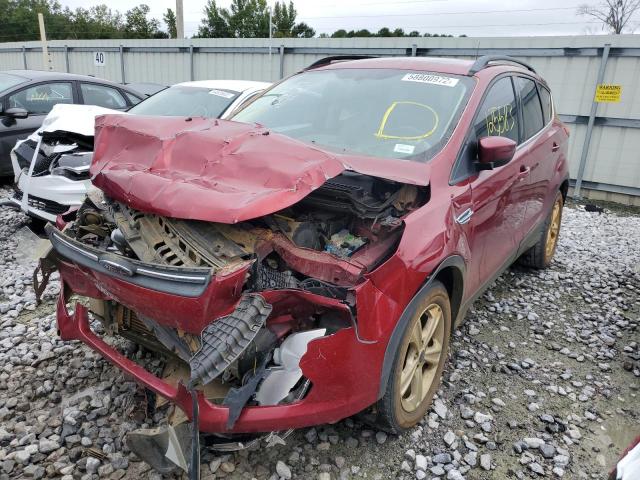 Photo 2 from auction – 2014 FORD ESCAPE SE with VIN 1FMCU0GX6EUC14345
