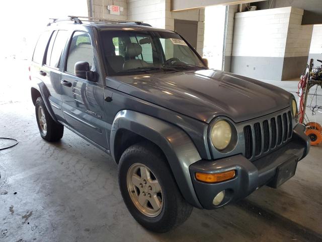 JEEP LIBERTY LI 2002 with VIN 1J4GL58KX2W176184 - Photo from auction