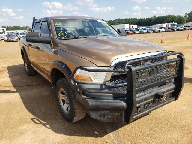 DODGE RAM 1500 2011 with VIN 1D7RV1GT7BS704336 - Photo from auction