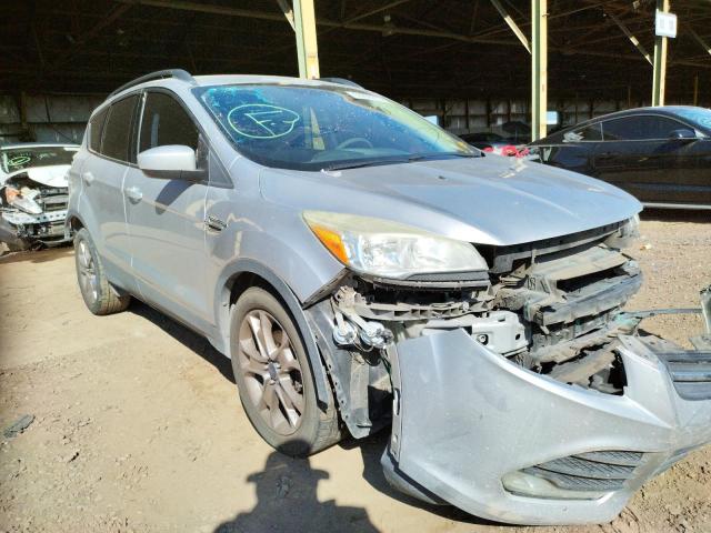 FORD ESCAPE SE 2014 with VIN 1FMCU0GX1EUD25255 - Photo from auction